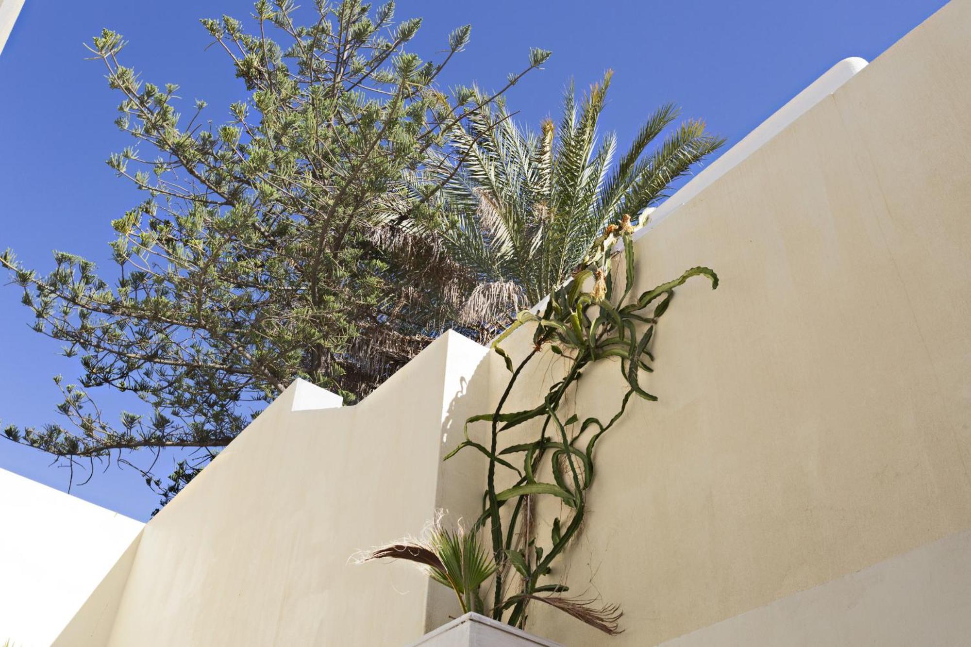 Tavira Historical Center Apartments Kültér fotó